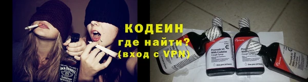крисы Майский