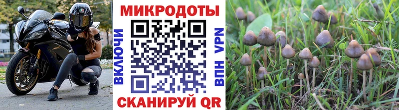 сайты даркнета какой сайт  Бологое  Галлюциногенные грибы GOLDEN TEACHER  как найти наркотики 